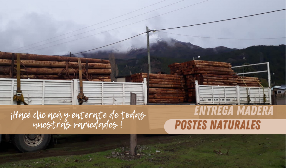 postesimpregnadoscalle