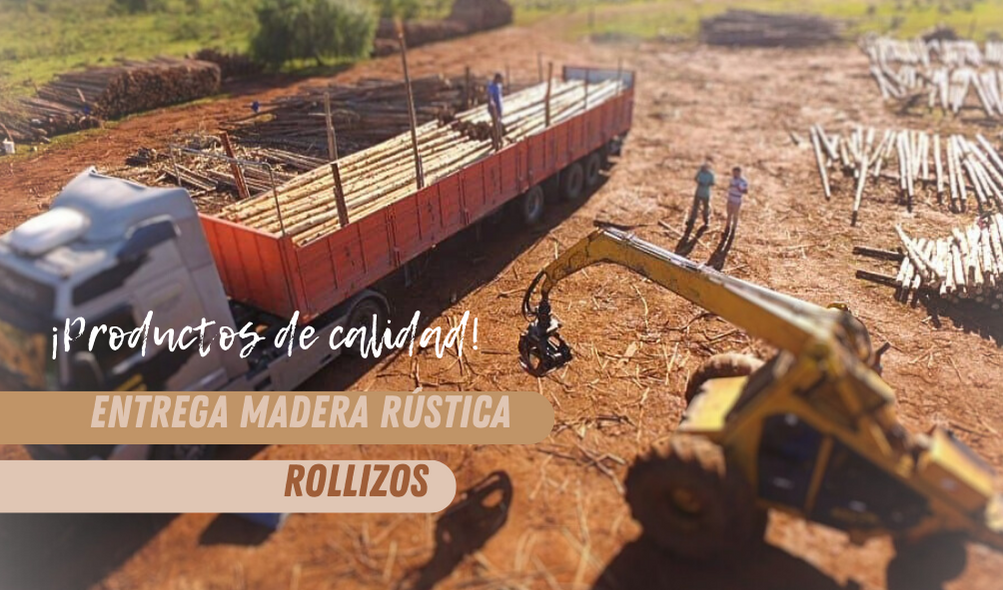 rollizosdemaderacabañas